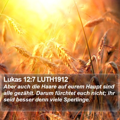 Lukas 12:7 LUTH1912 Bible Verse Image