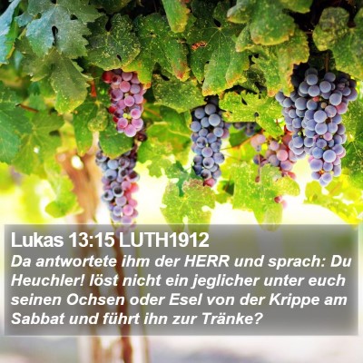 Lukas 13:15 LUTH1912 Bible Verse Image