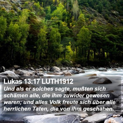 Lukas 13:17 LUTH1912 Bible Verse Image