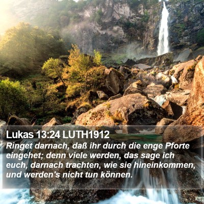 Lukas 13:24 LUTH1912 Bible Verse Image