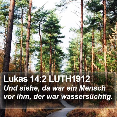Lukas 14:2 LUTH1912 Bible Verse Image