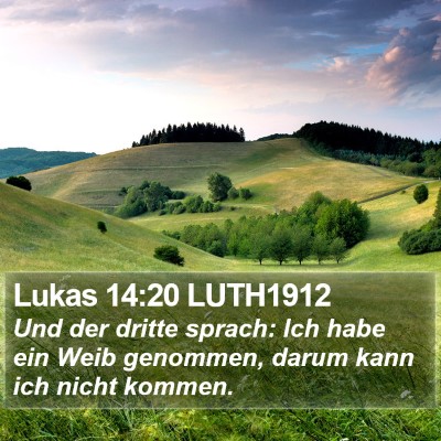 Lukas 14:20 LUTH1912 Bible Verse Image