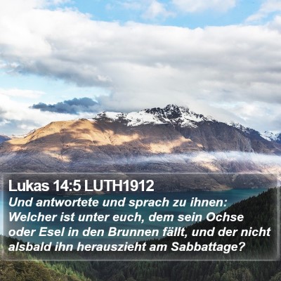 Lukas 14:5 LUTH1912 Bible Verse Image