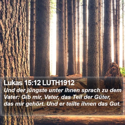 Lukas 15:12 LUTH1912 Bible Verse Image