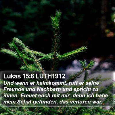 Lukas 15:6 LUTH1912 Bible Verse Image