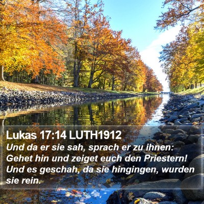 Lukas 17:14 LUTH1912 Bible Verse Image