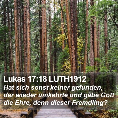 Lukas 17:18 LUTH1912 Bible Verse Image