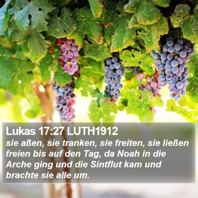 Lukas 17:27 LUTH1912 Bible Verse Image