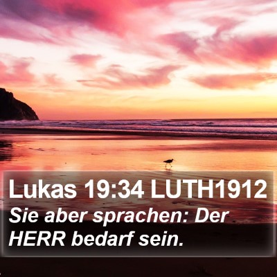 Lukas 19:34 LUTH1912 Bible Verse Image