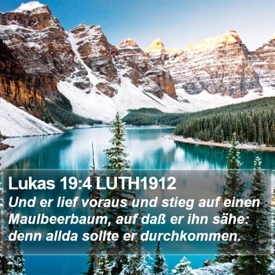 Lukas 19:4 LUTH1912 Bible Verse Image