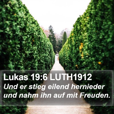 Lukas 19:6 LUTH1912 Bible Verse Image