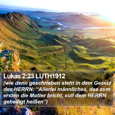 Lukas 2:23 LUTH1912 Bible Verse Image