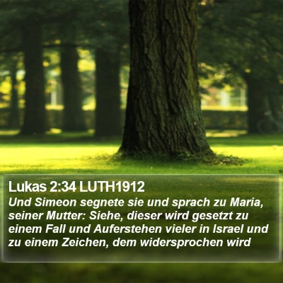 Lukas 2:34 LUTH1912 Bible Verse Image