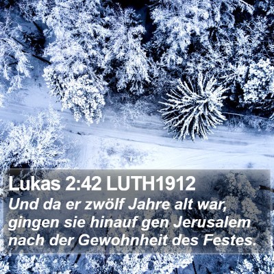 Lukas 2:42 LUTH1912 Bible Verse Image