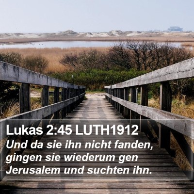 Lukas 2:45 LUTH1912 Bible Verse Image