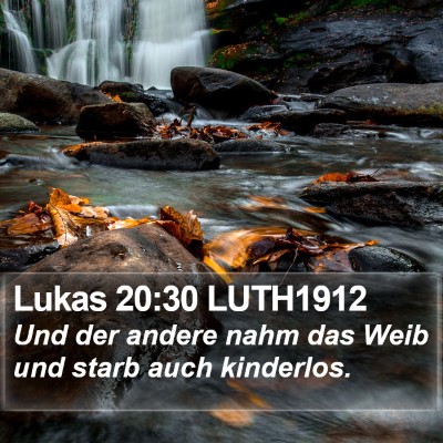 Lukas 20:30 LUTH1912 Bible Verse Image