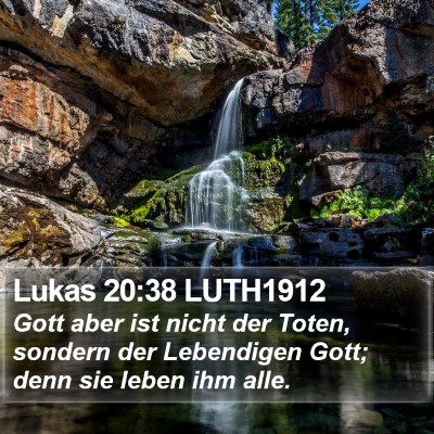 Lukas 20:38 LUTH1912 Bible Verse Image