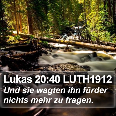Lukas 20:40 LUTH1912 Bible Verse Image