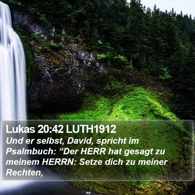Lukas 20:42 LUTH1912 Bible Verse Image