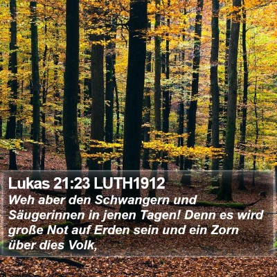 Lukas 21:23 LUTH1912 Bible Verse Image