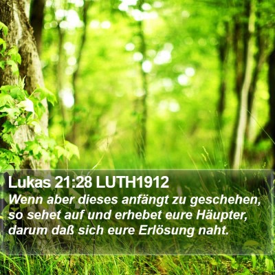 Lukas 21:28 LUTH1912 Bible Verse Image