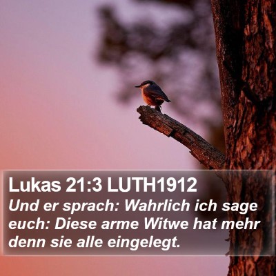 Lukas 21:3 LUTH1912 Bible Verse Image