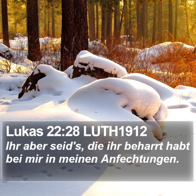 Lukas 22:28 LUTH1912 Bible Verse Image