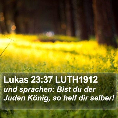 Lukas 23:37 LUTH1912 Bible Verse Image