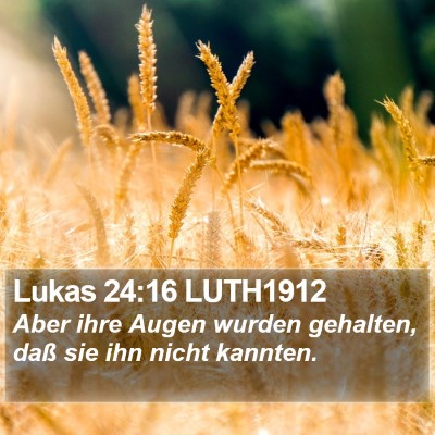 Lukas 24:16 LUTH1912 Bible Verse Image