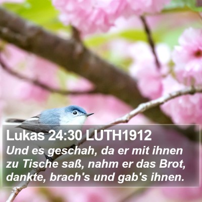 Lukas 24:30 LUTH1912 Bible Verse Image