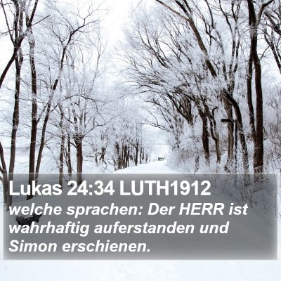 Lukas 24:34 LUTH1912 Bible Verse Image