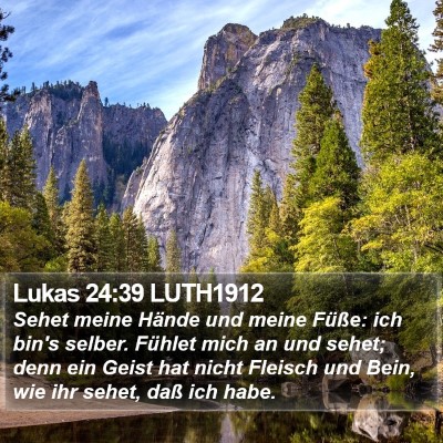 Lukas 24:39 LUTH1912 Bible Verse Image