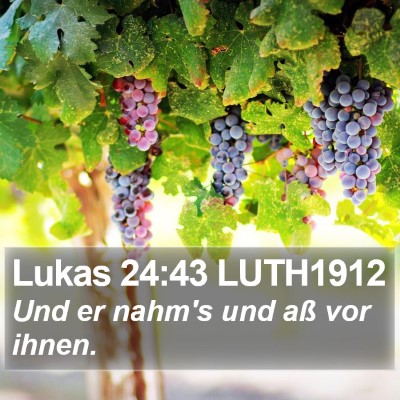 Lukas 24:43 LUTH1912 Bible Verse Image