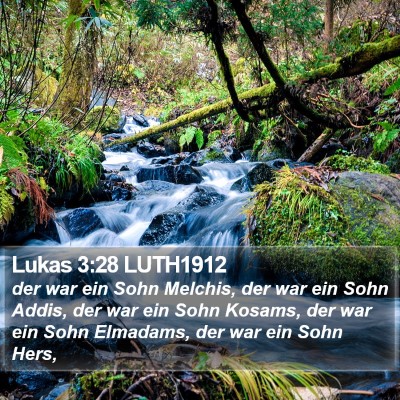 Lukas 3:28 LUTH1912 Bible Verse Image