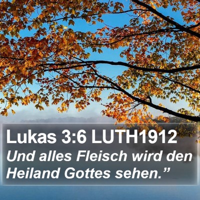 Lukas 3:6 LUTH1912 Bible Verse Image