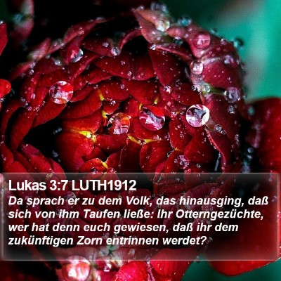 Lukas 3:7 LUTH1912 Bible Verse Image