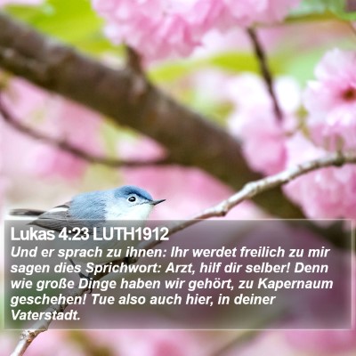 Lukas 4:23 LUTH1912 Bible Verse Image