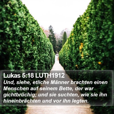 Lukas 5:18 LUTH1912 Bible Verse Image