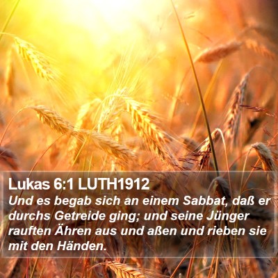Lukas 6:1 LUTH1912 Bible Verse Image