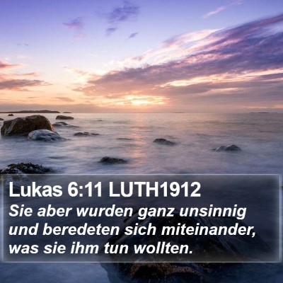 Lukas 6:11 LUTH1912 Bible Verse Image