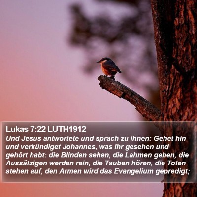 Lukas 7:22 LUTH1912 Bible Verse Image