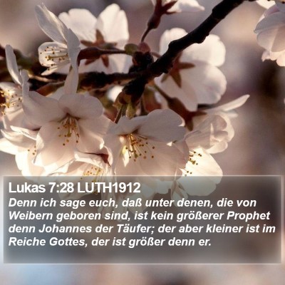 Lukas 7:28 LUTH1912 Bible Verse Image