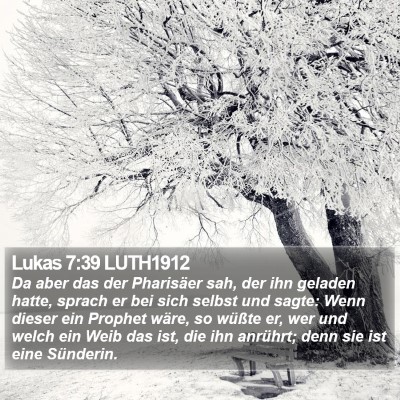 Lukas 7:39 LUTH1912 Bible Verse Image