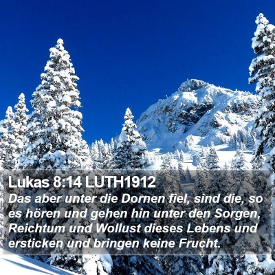 Lukas 8:14 LUTH1912 Bible Verse Image