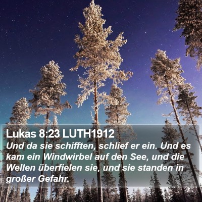 Lukas 8:23 LUTH1912 Bible Verse Image