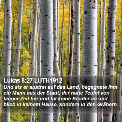 Lukas 8:27 LUTH1912 Bible Verse Image