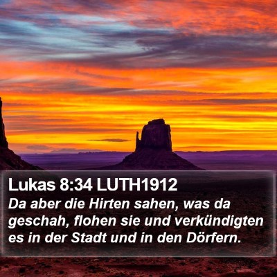 Lukas 8:34 LUTH1912 Bible Verse Image