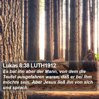 Lukas 8:38 LUTH1912 Bible Verse Image