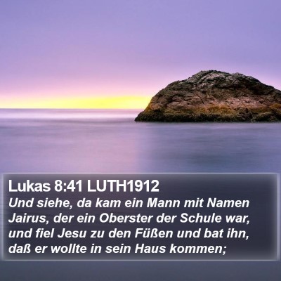 Lukas 8:41 LUTH1912 Bible Verse Image
