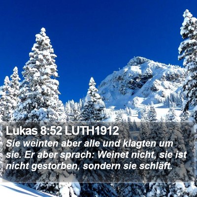 Lukas 8:52 LUTH1912 Bible Verse Image